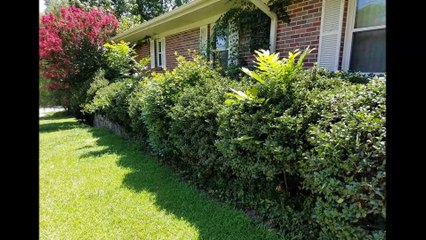 All Seasons Landscaping LLC - (256) 399-3084