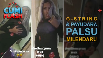 Makin Menjadi-jadi, Milendaru Pake G-String dan Payudara Palsu - CumiFlash 03 April 2017