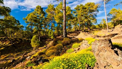 A Man Filmed Heaven For 7 Days. What He Saw Took My Breath Away