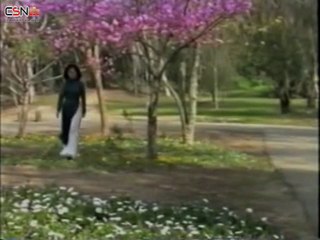 Gió Về Miền Xuôi - Phương Dung