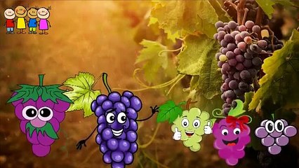 Baby Songs   Lady Bug- Brinjal-Capsicum-Kites F234