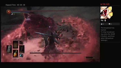 Dks3 Ringed City NG7 Challenge (225 lvl) (21)