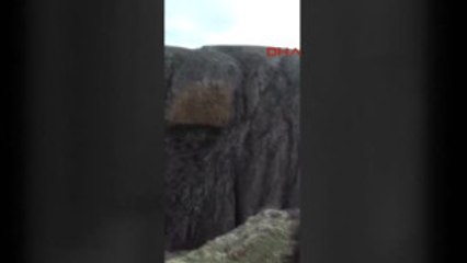Kahramanmaraş Ters Lale Toplarken Kayalıklardan Düşüp Mahsur Kaldı