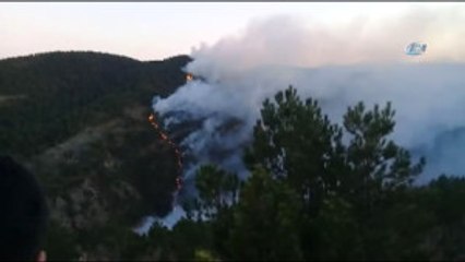 Kastamonu'da Orman Yangınları