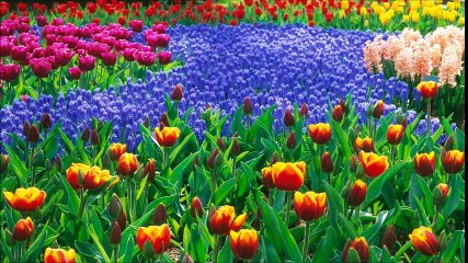 SÉMINAIRE DE PARIS AVEC MAITRE TAM