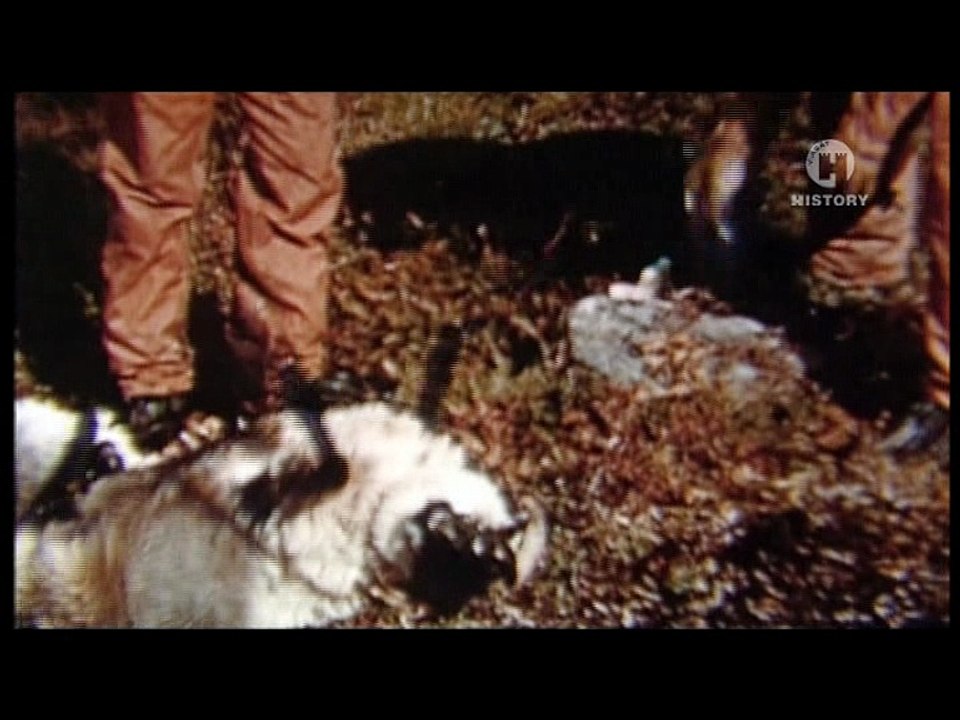 Biológiai Fegyverek