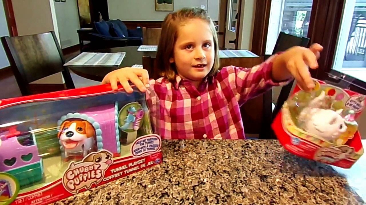 Chubby Puppies Tunnel Playset with Beagle and White Ragdoll-gOdjJKvhnSk
