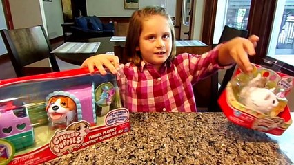 Chubby Puppies Tunnel Playset with Beagle and White Ragdoll-gOdjJKvhnSk