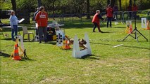 Tournoi Flyball CCV