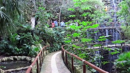 Love birds? Take a look inside the Aviary at Xcaret Park