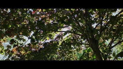 Below Her Mouth Official Trailer 1 (2017) - Erika Linder Movie