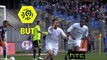 But Andy DELORT (45ème) / Montpellier Hérault SC - Toulouse FC - (0-1) - (MHSC-TFC) / 2016-17
