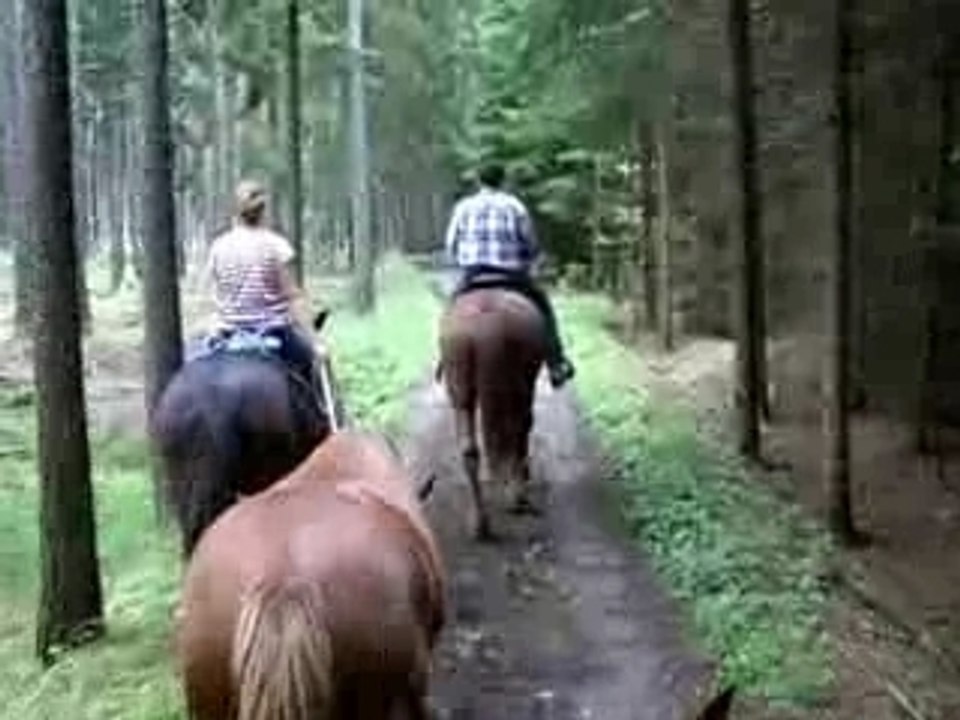 Ausritt durch den Werdauer Wald 2