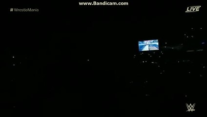 Wrestlemania 33 The Miz and Maryse entrance HD