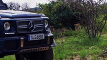 Mercedes-Maybach G 650 Landaulet Exterior_Interior Preview - Autoge