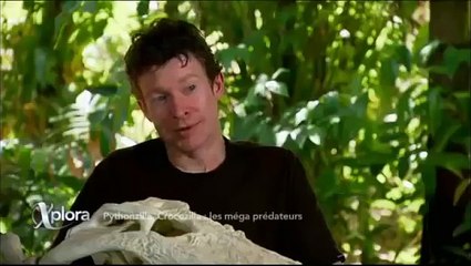 Animalier Les Mega Predateurs | Documentaire part 1/2