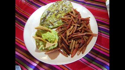 5 comidas raras de mexico