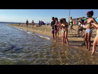 Télécharger la video: Melbourne Beachgoers Have Close Encounter With Shark