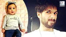 Shahid Kapoor Becomes A Puppy For Daughter Misha