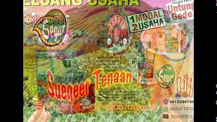 0816574300 (Indosat) - Waralaba Murah Meriah Sukamara