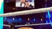 Goldberg vs Brock Lesnar for the Universal Championship WWE Wrestlemania 33 02-04-2017 PART 10