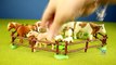 PLAYMOBIL Country Farm Animals Pen and Hen House Building Set Build Revi