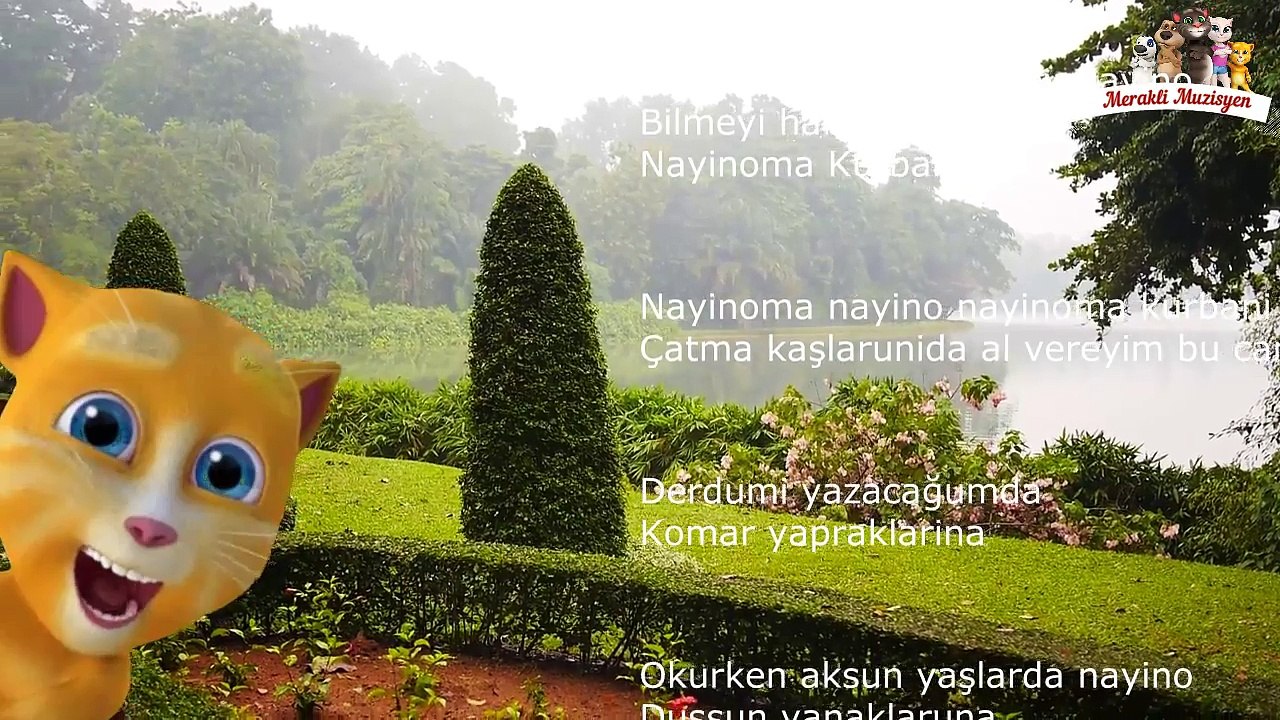 Nayino