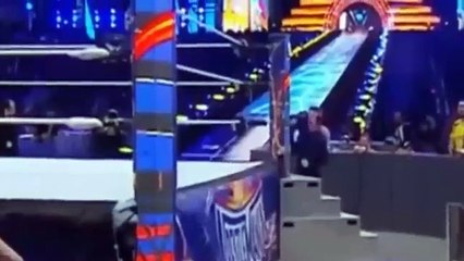 Roman Reigns Wins vs The Undertaker at the WWE Wrestlemania 33 02-04-2017 PART 11