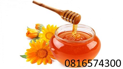 0816574300 Jual Madu Anak Maluku Tenggara Barat