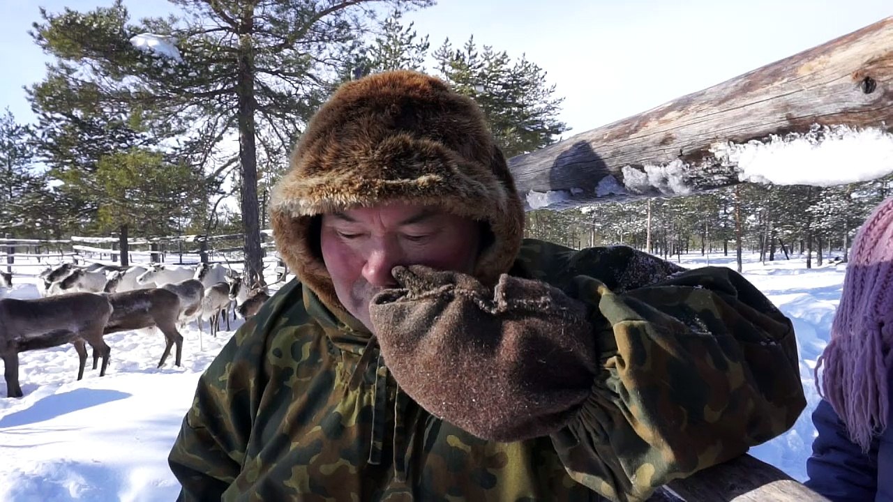Rentierzüchter gegen Ölmultis in sibirien