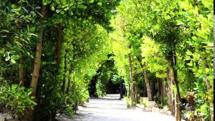 【作業用BGM】ドライブに聴きたい邦楽カバーオムニバス《高音質》 part 3/4