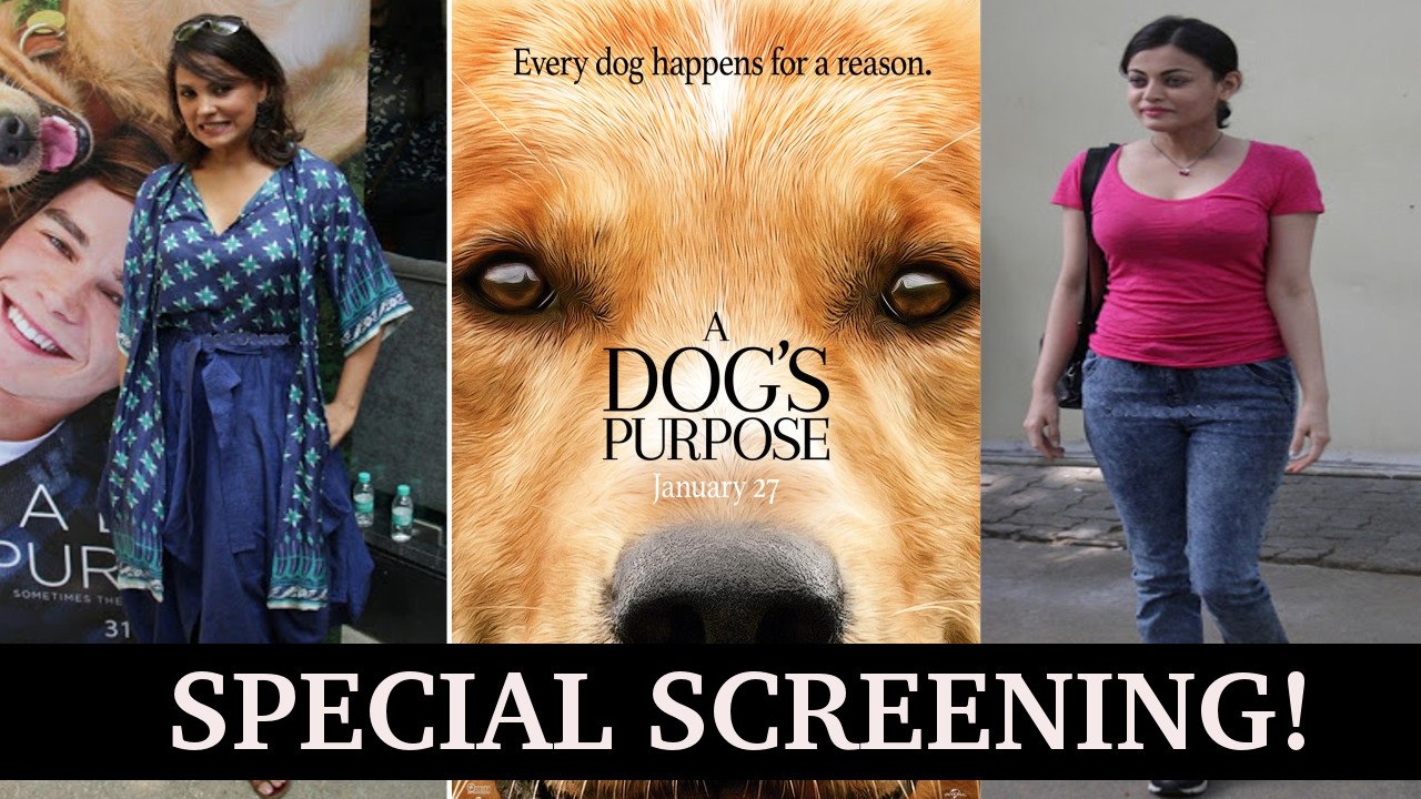 A Dogs Purpose | Special Screening | Lara Dutta, Sneha Ullal