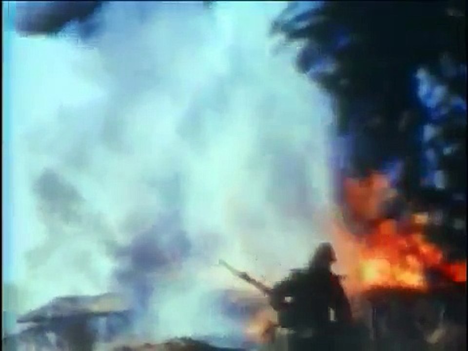 Forces spéciales : US Army Special Forces Green Berets part 2/2