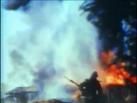 Forces spéciales : US Army Special Forces Green Berets part 2/2