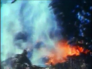 Forces spéciales : US Army Special Forces Green Berets part 1/2