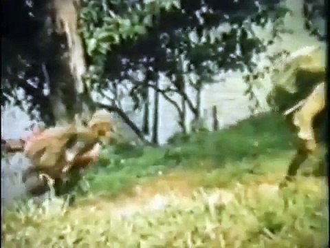 Forces speciales : Les SAS britanniques part 2/2