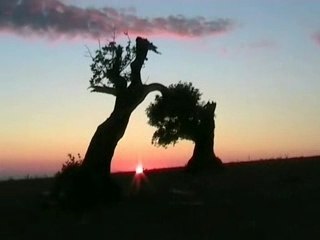 L'Artista tutto tondo