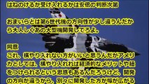 【F3戦闘機プロジェクト】日本の純国産に横槍？ボーイング社が共�