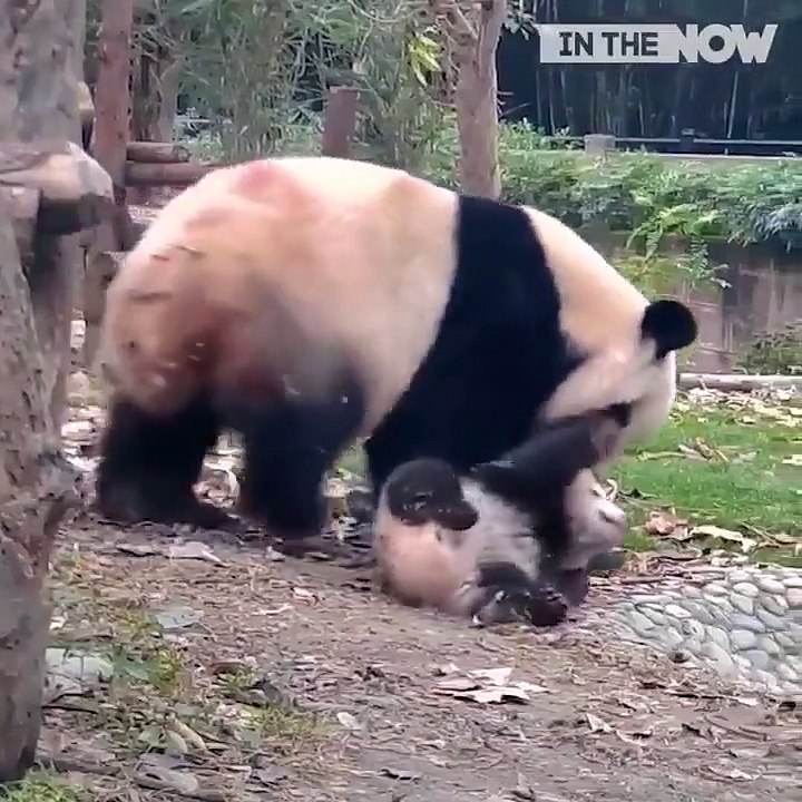 Ritaş Etiket Çocuk her yerde çocuk