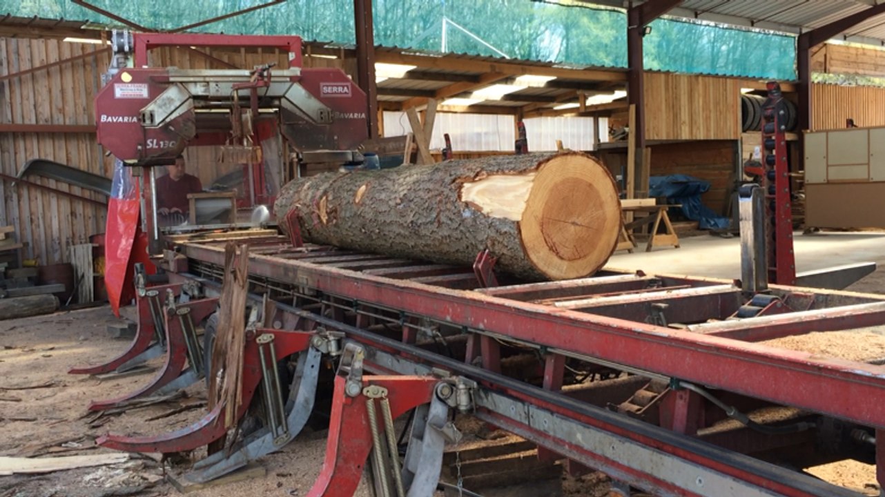 Visite de la scierie Leroy