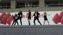 STEELO  あまおう祭り　ふれあい広場　avexステージ 2017/2/26