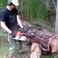 Blooded tree/ Tree uttering blood while cutting