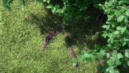 Voyage sous nos pieds