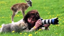 【驚愕】カメラマンと触れ合おうとする動物たちの画像集！嘘のよ
