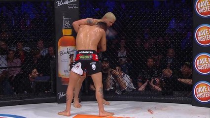 Bellator 175 video highlights
