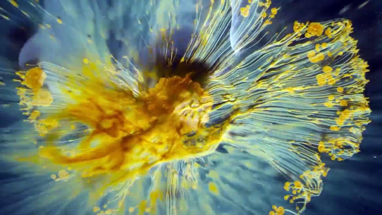 Путешествие времени / Voyage of Time (2017) русский трейлер