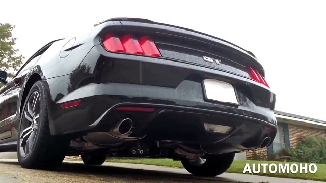 SOUND - 2016 Ford Mustang GT Fastback 5.0L V8 Exhaust _Start Up _Short
