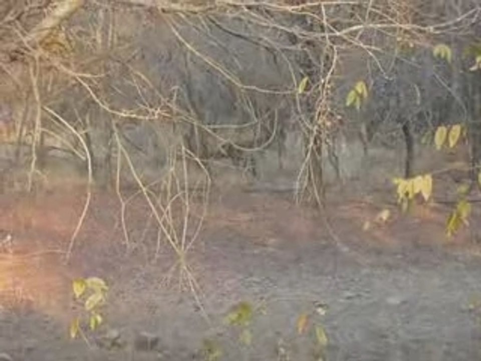 Rajasthan 2ème partie