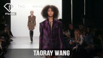 New York Fashion Week Fall/WItner 2017-18 - Taoray Wang Trends | FTV.com