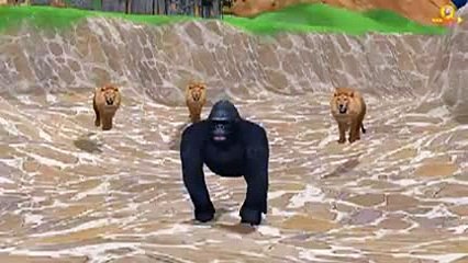 animals dinosaurs-hehe _19